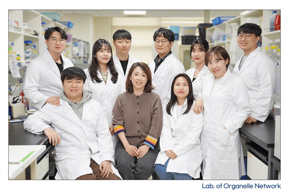 Lab. of Organelle Network